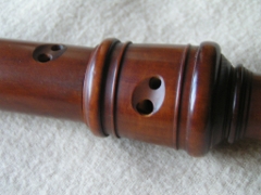 double holes on an alto (treble) recorder