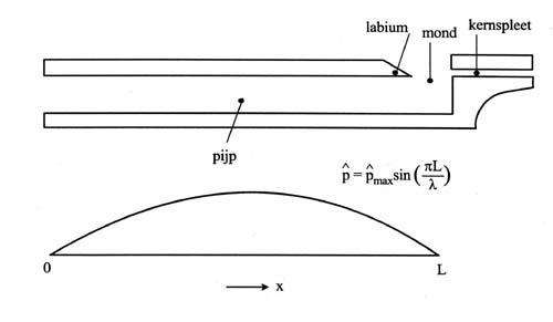 hirsch1a.jpg