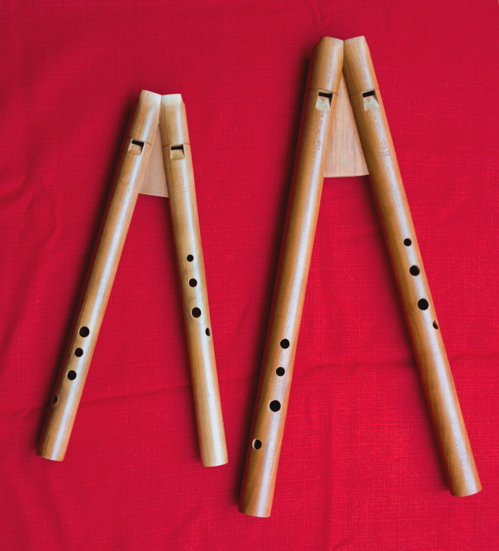 Recorder instrument